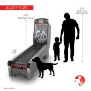 Skee-Ball Home Arcade Premium